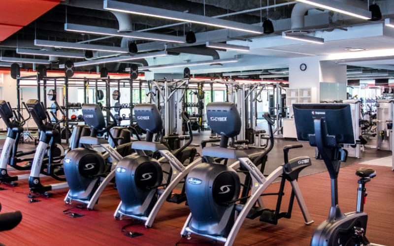 rows of cardio machines in fitness center